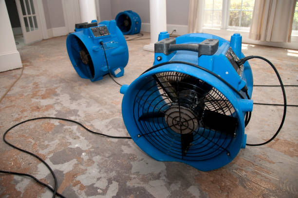 Best Water damage contractors near me  in San Juan Bautista, CA
