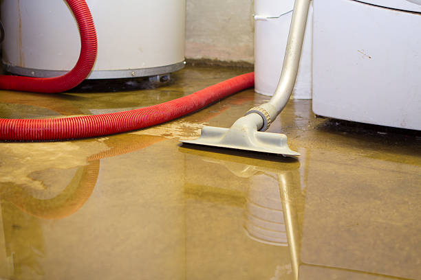 Best Local water damage restoration  in San Juan Bautista, CA