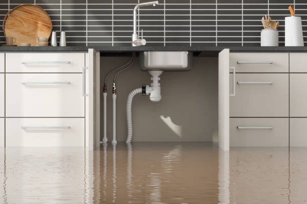 Best Water damage mitigation services  in San Juan Bautista, CA