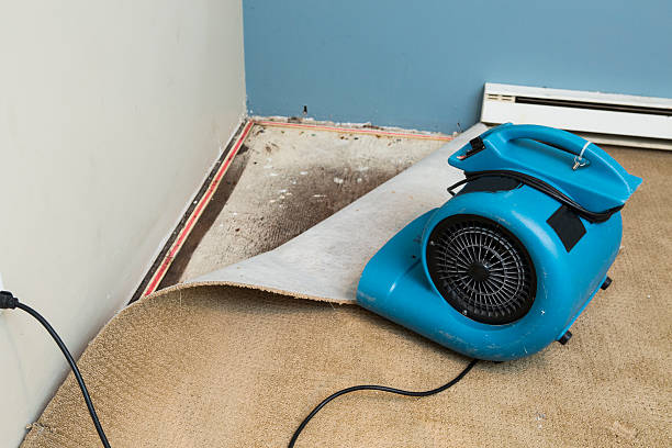 Best 24/7 water damage repair  in San Juan Bautista, CA